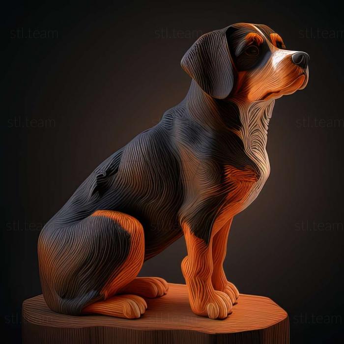 3D модель Энтлебухер зенненхунд собака (STL)